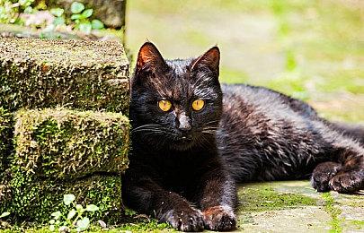 《战神：诸神黄昏》IGN打出10分 无可挑剔令人着迷